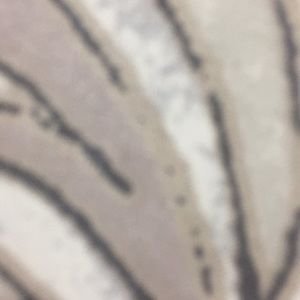 Meet your Posher, Hayley